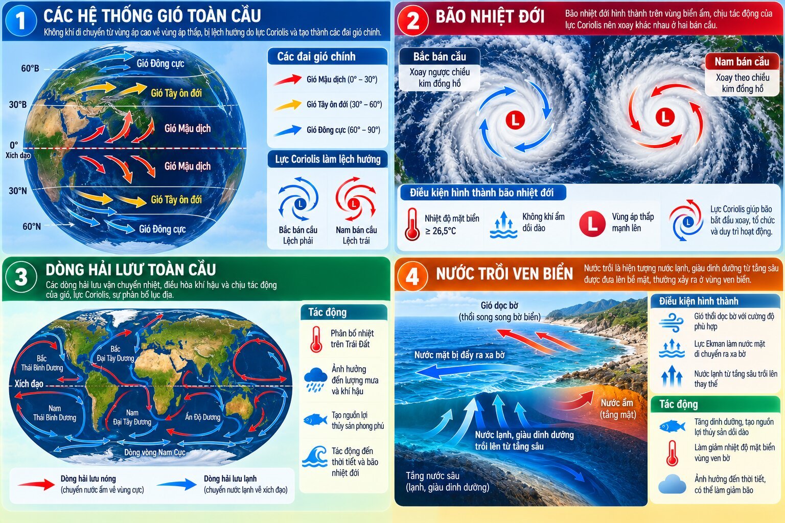 Infographic minh họa ảnh hưởng của hiệu ứng Coriolis đến hướng gió toàn cầu, chiều quay của bão, dòng hải lưu và hiện tượng nước trồi